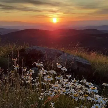 La Casa Del Gnocco Masone